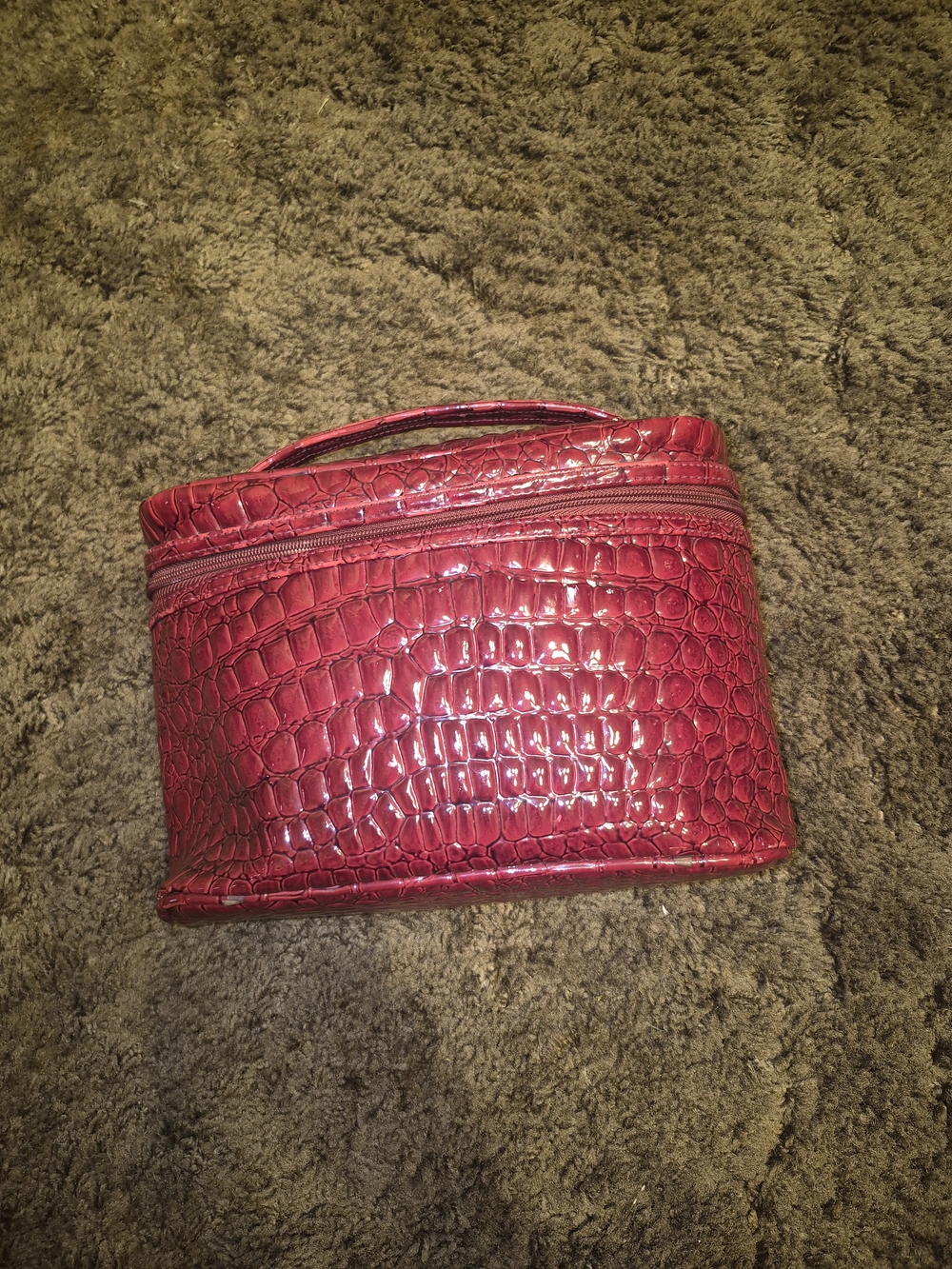 Modella Red Croc-Embossed Cosmetic Case with Top Handle - Picture 1 of 6